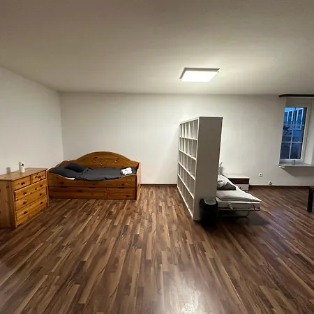 Grosse Moeblierte Im Zentrum Von Lage Apartment